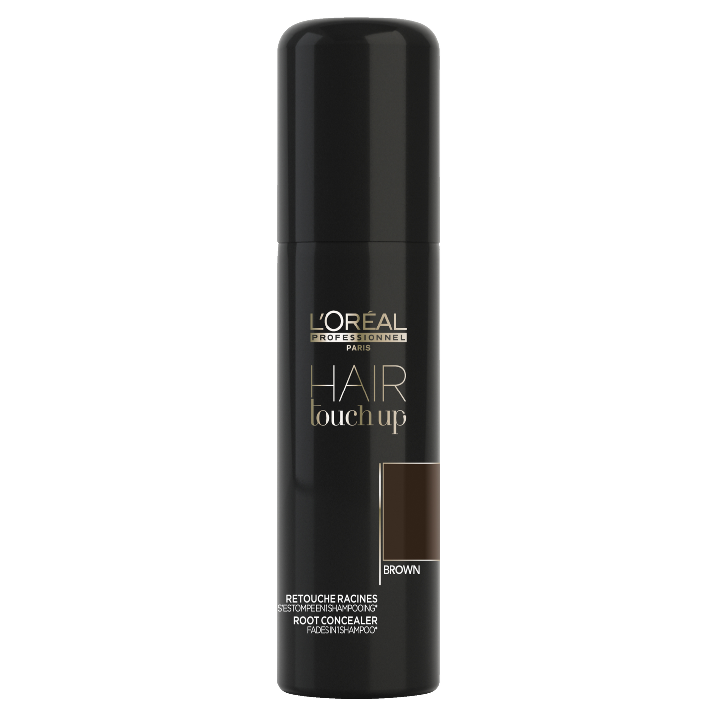 Loreal Professionnel Hair Touch Up 75mL